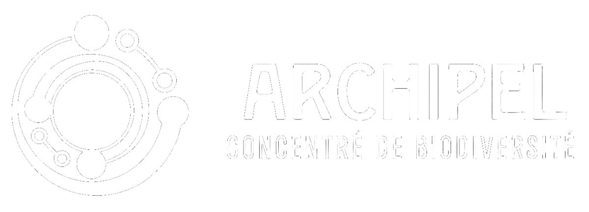 Archipel